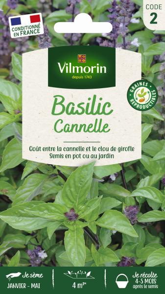 Aromatiques - Basilic Cannelle - PACKAGING_RECTO